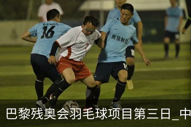 巴黎残奥会羽毛球项目第三日 中国队取得13胜3负